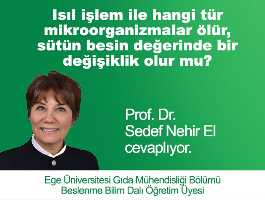 ISIL İŞLEM İLE SÜTÜN BESİN DEĞERİNDE BİR DEĞİŞİKLİK OLUR MU?