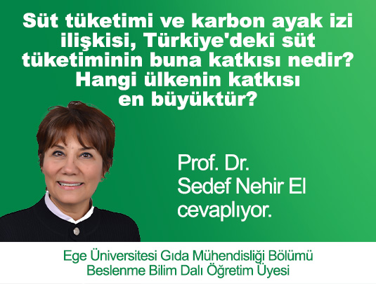 UHT SÜTLERİN İÇİNDE HERHANGİ BİR KORUYUCU VE KATKI MADDESİ BULUNUR MU?
