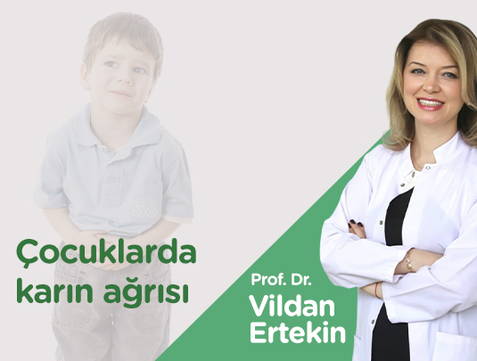 Prof. Dr. Vildan Ertekin
