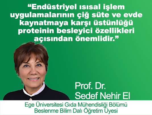 ENDÜSTRİYEL ISISAL İŞLEM UYGULAMALARININ ÇIĞ SÜTE VE EVDE KAYNATMAYA KARŞI ÜSTÜNLÜĞÜ PROTEİNİN BESLE