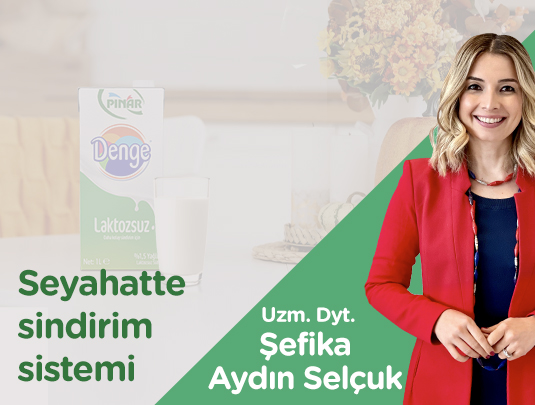 SEYAHATTE SİNDİRİM SİSTEMİ