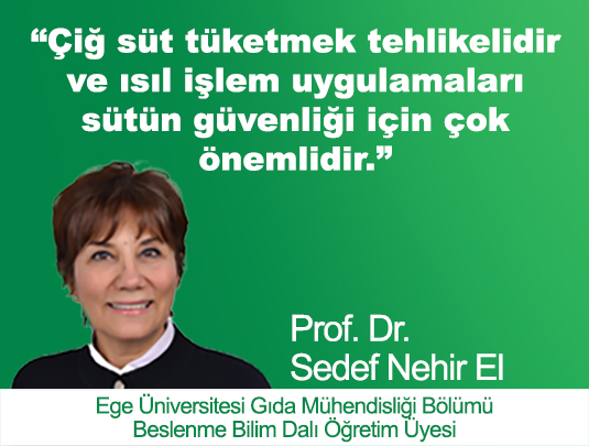 ÇİĞ SÜT TÜKETMEK TEHLİKELİDİR VE ISIL İŞLEM UYGULAMALARI SÜTÜN GÜVENLİĞİ İÇİN ÇOK ÖNEMLİDİR
