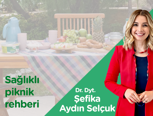 SAĞLIKLI PİKNİK REHBERİ
